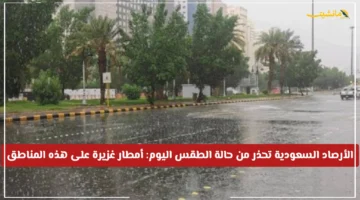 تحذير من الأرصاد السعودية.. أمطار غزيرة ورياح كاسحة اليوم هل منطقتك ضمن المناطق المتأثرة؟ 1